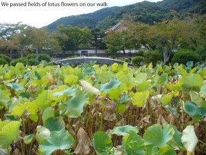 Arashiyama1