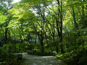 Arashiyama17